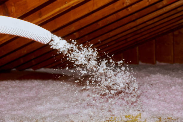 Best Commercial Insulation in Hrison, AR